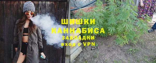 дурь Арсеньев