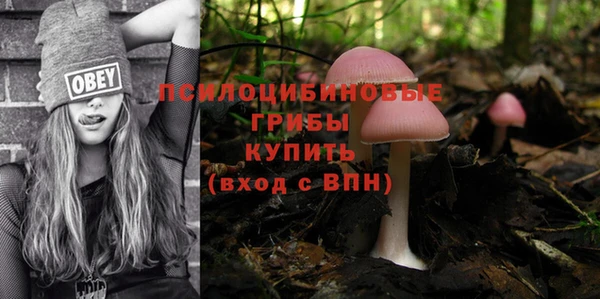 дурь Арсеньев